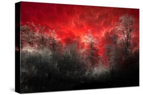 Hot and Cold-Philippe Sainte-Laudy-Stretched Canvas