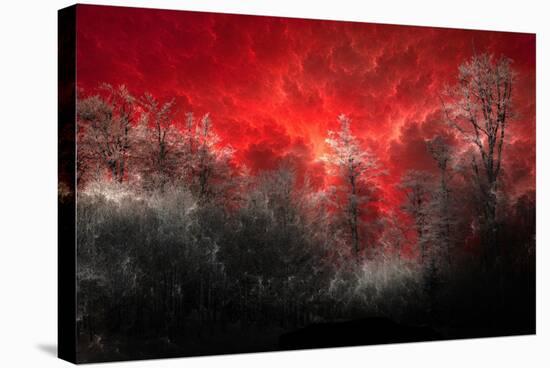 Hot and Cold-Philippe Sainte-Laudy-Stretched Canvas