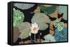 Hot and Humid-Allan Friedlander-Framed Stretched Canvas