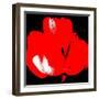 Hot Bloom I-Herb Dickinson-Framed Photographic Print