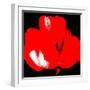 Hot Bloom I-Herb Dickinson-Framed Photographic Print