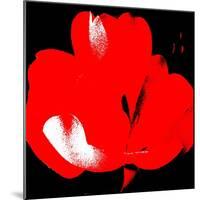 Hot Bloom I-Herb Dickinson-Mounted Photographic Print