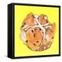 Hot Cross Bun-Anna Platts-Framed Stretched Canvas