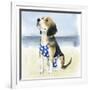 Hot Dog II-Grace Popp-Framed Art Print