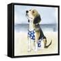 Hot Dog II-Grace Popp-Framed Stretched Canvas