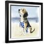 Hot Dog II-Grace Popp-Framed Art Print