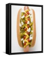 Hot Dog with Relish, Mustard, Ketchup and Onions-null-Framed Stretched Canvas