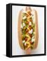 Hot Dog with Relish, Mustard, Ketchup and Onions-null-Framed Stretched Canvas