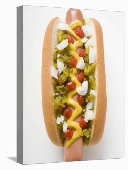 Hot Dog with Relish, Mustard, Ketchup and Onions-null-Stretched Canvas