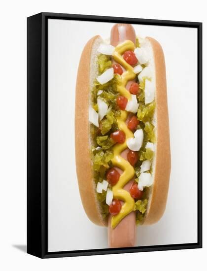 Hot Dog with Relish, Mustard, Ketchup and Onions-null-Framed Stretched Canvas