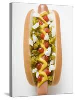 Hot Dog with Relish, Mustard, Ketchup and Onions-null-Stretched Canvas