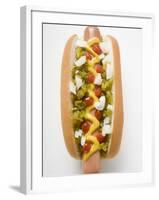 Hot Dog with Relish, Mustard, Ketchup and Onions-null-Framed Photographic Print