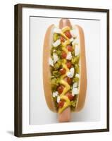 Hot Dog with Relish, Mustard, Ketchup and Onions-null-Framed Photographic Print