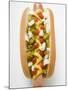 Hot Dog with Relish, Mustard, Ketchup and Onions-null-Mounted Photographic Print