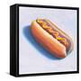 Hot Dog-Wellington Studio-Framed Stretched Canvas