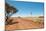 Hot Dusty Road across Flat Landscape with Water Vane-Will Wilkinson-Mounted Photographic Print