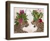 Hot House Leopards, Pair, Pink Green-Fab Funky-Framed Art Print