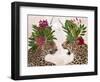 Hot House Leopards, Pair, Pink Green-Fab Funky-Framed Art Print