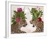 Hot House Leopards, Pair, Pink Green-Fab Funky-Framed Art Print