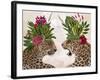 Hot House Leopards, Pair, Pink Green-Fab Funky-Framed Art Print