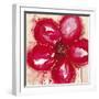 Hot House Reds-Lilian Scott-Framed Giclee Print