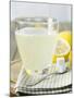 Hot Lemon with Sugar Cubes, Lemons in Background-Kai Schwabe-Mounted Photographic Print