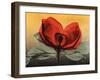 Hot Magnolia 1-Albert Koetsier-Framed Art Print