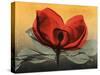 Hot Magnolia 1-Albert Koetsier-Stretched Canvas