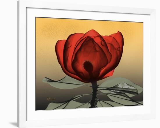 Hot Magnolia 2-Albert Koetsier-Framed Art Print