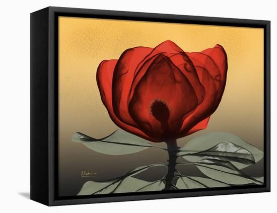 Hot Magnolia 2-Albert Koetsier-Framed Stretched Canvas