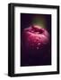 Hot Passion-Philippe Sainte-Laudy-Framed Photographic Print