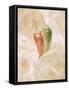 Hot Peppers I-li bo-Framed Stretched Canvas