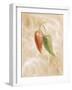 Hot Peppers II-li bo-Framed Giclee Print