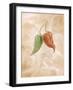 Hot Peppers III-li bo-Framed Giclee Print