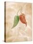 Hot Peppers III-li bo-Stretched Canvas