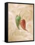 Hot Peppers IV-li bo-Framed Stretched Canvas