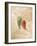 Hot Peppers IV-li bo-Framed Giclee Print