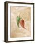 Hot Peppers IV-li bo-Framed Giclee Print