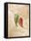 Hot Peppers IV-li bo-Framed Stretched Canvas