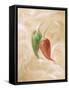 Hot Peppers IV-li bo-Framed Stretched Canvas