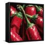 Hot Peppers-null-Framed Stretched Canvas