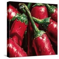 Hot Peppers-null-Stretched Canvas