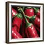 Hot Peppers-null-Framed Art Print
