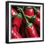 Hot Peppers-null-Framed Art Print