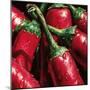 Hot Peppers-null-Mounted Art Print