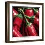 Hot Peppers-null-Framed Art Print