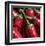 Hot Peppers-null-Framed Art Print