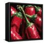 Hot Peppers-null-Framed Stretched Canvas