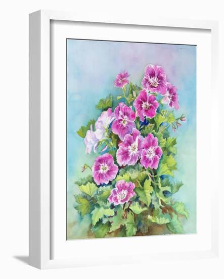 Hot Pink Blush Geraniums-Joanne Porter-Framed Giclee Print