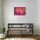 Hot Pink Fantasy Bedroom-null-Framed Stretched Canvas displayed on a wall